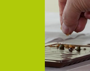 Taller de degustaci&oacute;n en Colonia