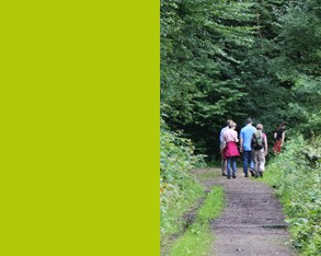 Team building al aire libre en el bosque de Colonia