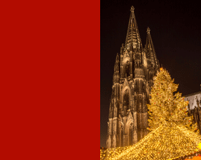 Cologne Cathedral behind a lit Christmas tree